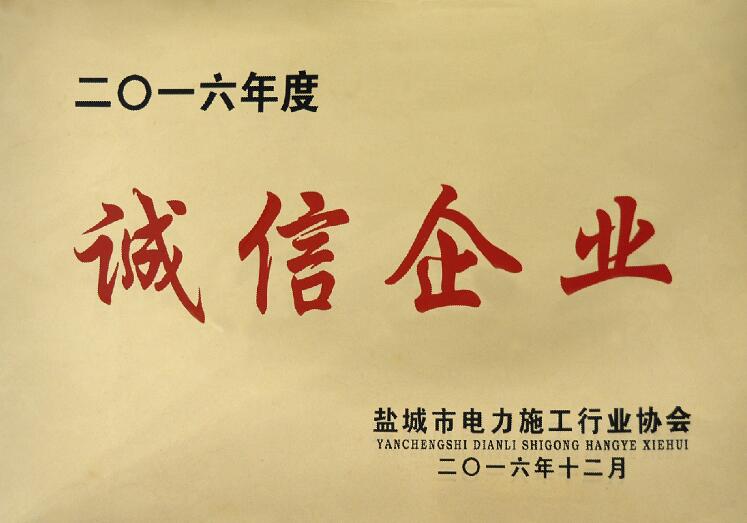 公海彩船电缆被盐都会电力施工行业协会评为“诚信企业”