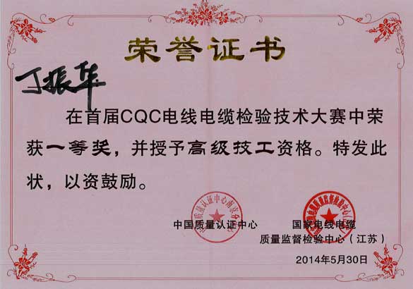 公海彩船电缆员工在首届CQC电线电缆磨练手艺大赛中获佳绩